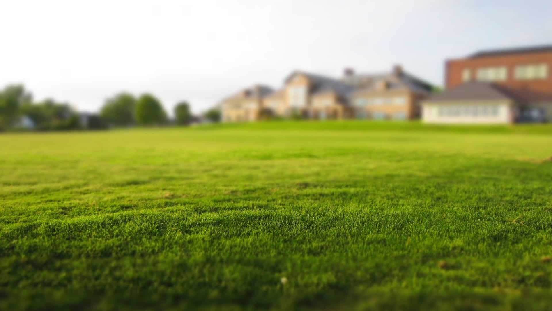 Comment se déroule une prestation avec un agent immobilier ?