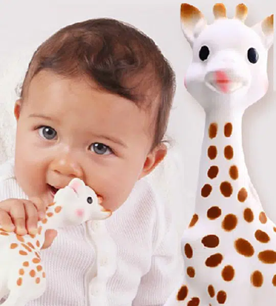 Sophie la girafe moisissure