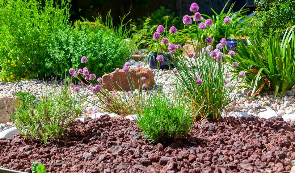 Idées de décoration de jardin avec du gravier comment créer un parterre décoratif