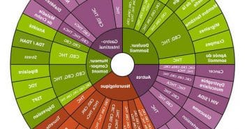 Comment vapoter du CBD ?