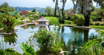 Installer un espace aquatique dans son jardin : pourquoi contacter un paysagiste ?