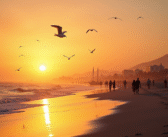 Découvrir Essaouira : plage, soleil et détente au Maroc