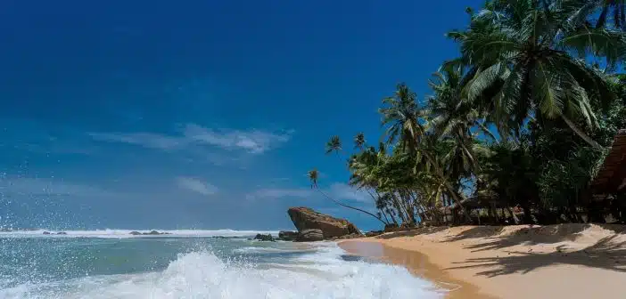 Trouvez votre destination idéale pour des vacances à la Toussaint au soleil !