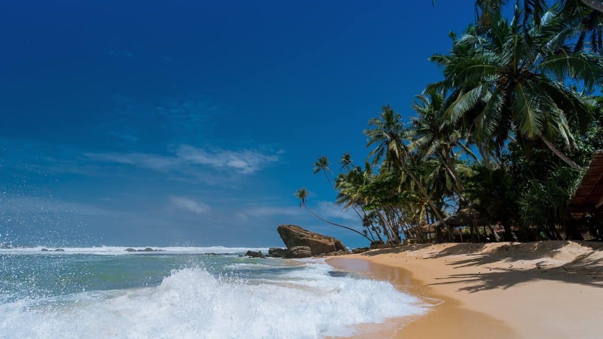Trouvez votre destination idéale pour des vacances à la Toussaint au soleil !